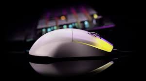 Souris